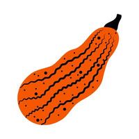 Pumpkins in cartoon groovy funky. Different shapes of gourds. Cute colored, flat pumpkin hand drawn autumn harvest, fall, seasonal Halloween graphic elements. vector