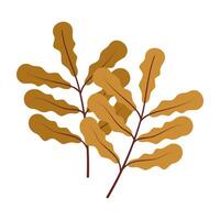Draw autumn leaves For fall autumn season flat style vector