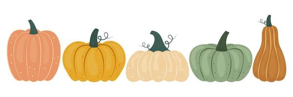 Set of various pumpkin in cartoon groovy funky style. Collection of different shapes gourds. Cute colored, flat pumpkin autumn harvest, fall. vector
