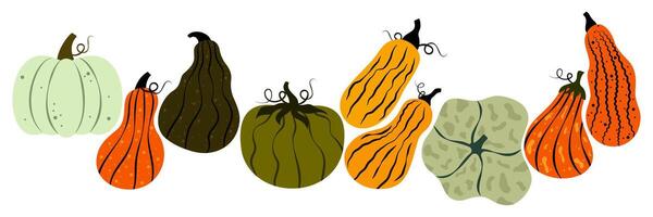 Set of various pumpkin in cartoon groovy funky style. Collection of different shapes gourds. Cute colored, flat pumpkin autumn harvest, fall. vector