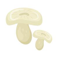 Flat cute bright colors of mushroom. Food, autumn, and spring. Nature. vector