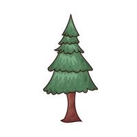 illustration of pine tree vector