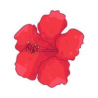 illustration of hibiscus vector