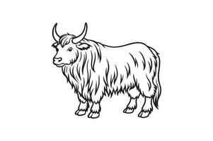 A yak is standing in a line on a white background vector