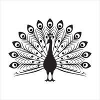 Elegant Peacock Silhouette Feathers Unfurled in Black and White vector
