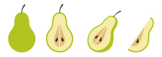 Sliced Green Pear Illustration in Flat Style vector