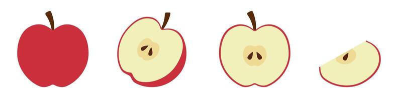 Flat Design Whole and Sliced Red Apple Illustration vector