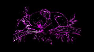 Neon frame effect,Sleepy Koala on black background video