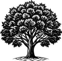 a drawing of a tree with the words the word on it vector