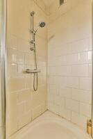 A shower with a shower head and a toilet photo