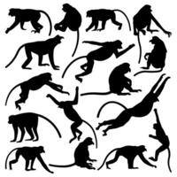 Proboscis Monkey silhouette illustration set vector