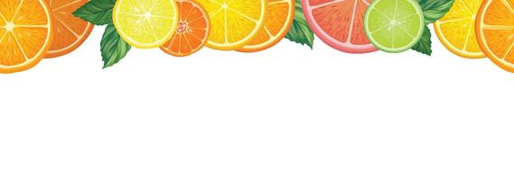 Fruits citrus seamless background. Fresh slice orange, lemon, lime, grapefruit, mandarin peices over white background with leaves. Illustration in realistic style vector