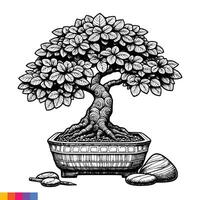 Bonsai tree in a pot with rocks and stones vector