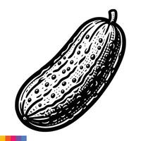 A cucumber is shown in a drawing style vector