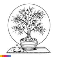 A bamboo plant in a pot with stones and a circle vector