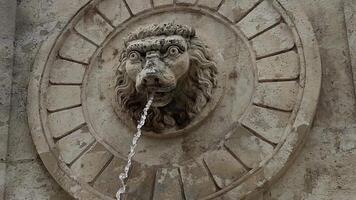 A close-up of an ancient fountain with a jet of water flowing from its mouth. Medieval sculpture of animal heads with open mouth. High quality 4k footage video