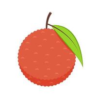 Lychee . Lychee on white background. vector