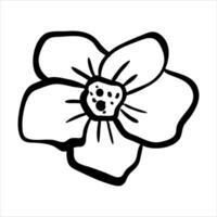 A flower is drawn in black and white on a white background vector