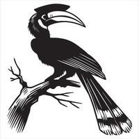 A black and white illustration of a toucan sitting on a branch vector