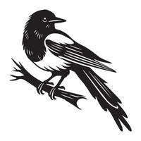 Black and white illustration of a magpie on a branch vector