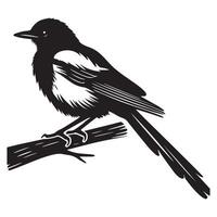 Black and white illustration of a magpie sitting on a branch vector