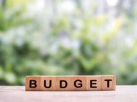 Wooden blocks with the word BUDGET. The concept about budget planning and allocation photo
