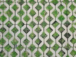 Geometric Concrete cement block with the green grass growing through the gap photo