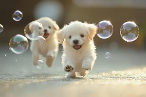 two white puppies running through bubbles photo