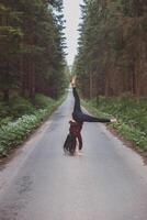 Acrobatic woman in black leggings and plaid shirt performs a cartwheel on a forest path in the middle of a deep forest. Coordination and agility training photo