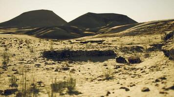Vast Mongolian steppe featuring rugged hills and sparse vegetation at sunset video