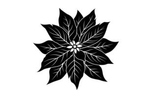 Poinsettia Leaf Silhouette isolated on a white background vector