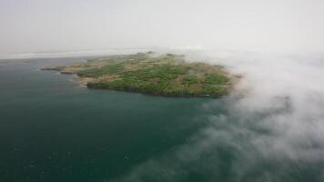 Aerial view of the Krabbe Peninsula in summer video