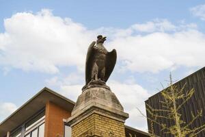 A statue of a bird on a pole photo