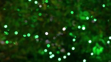 Beautiful green branches of a winter tree with magical festive lights of Christmas garlands and water drops lying on needles. Abstract Christmas holiday background. video