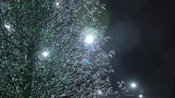 Trees covered with snow at night with electric lamps blowing in creating a festive New Year mood on city streets video