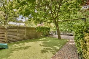 A backyard with a green grass area and a wooden fence photo