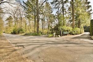 A road with a bench and trees in the background photo