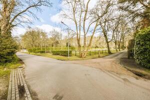 A paved road with trees and bushes photo