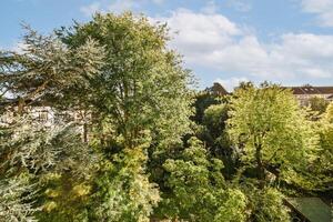 A view of a park with trees and buildings photo