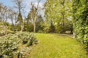 A garden with a bench and trees photo