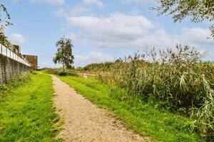 A path that is lined with grass and trees photo