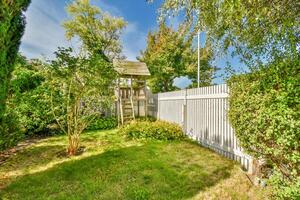 A backyard with a fence and a tree photo
