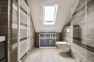 A bathroom with a skylight and a toilet photo
