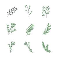 Plant twig hand drawn style icon. collection of isolated cartoon illustrations vector