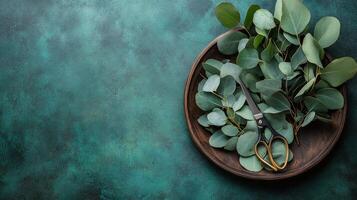 Eucalyptus leaves and wooden plate arranged on a teal surface with scissors nearby for crafts photo