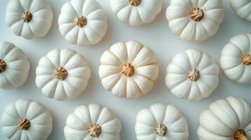 White pumpkins arranged on a plain background with autumn leaves in a creative fall display photo