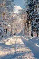 Snowy pathway illuminated by sunlight in a serene winter landscape at dawn photo