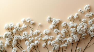 Delicate white flowers arranged against a soft peach background in a calm interior setting photo