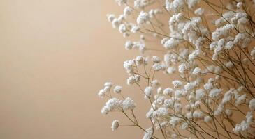 Delicate white flowers arranged against a soft peach background in a calm interior setting photo