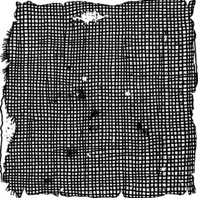 Distressed Black and White Grid Pattern with Texture